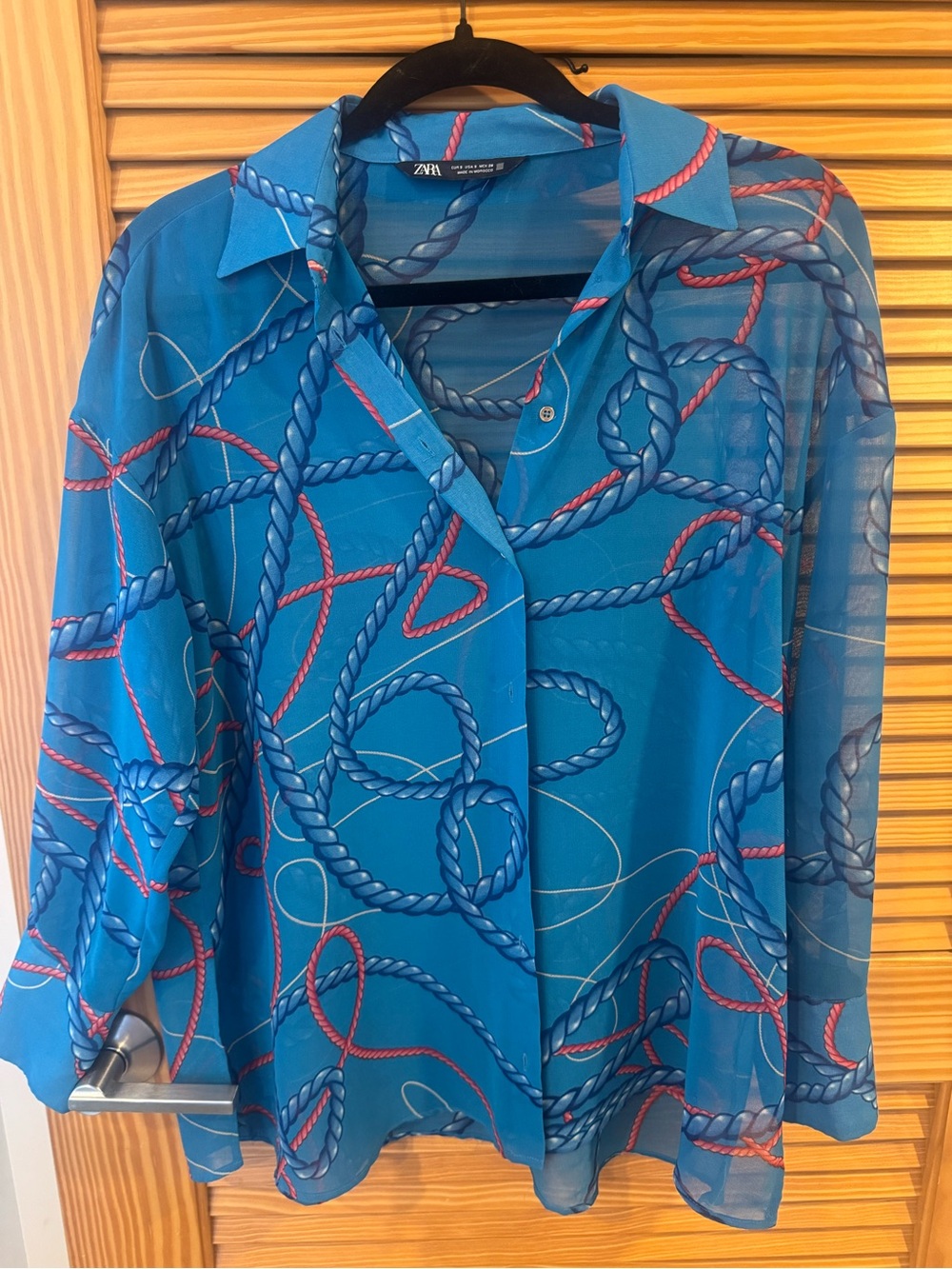 Zara Blue Sheer Rope-Print Button-Up Blouse